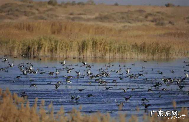 包头十大旅游景点大全 包头有哪些值得玩的景点