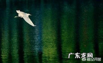 人与人之间最远的是什么距离?