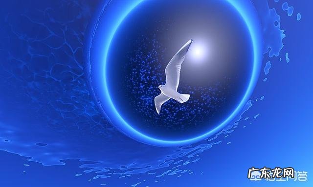 人与人之间最远的是什么距离?