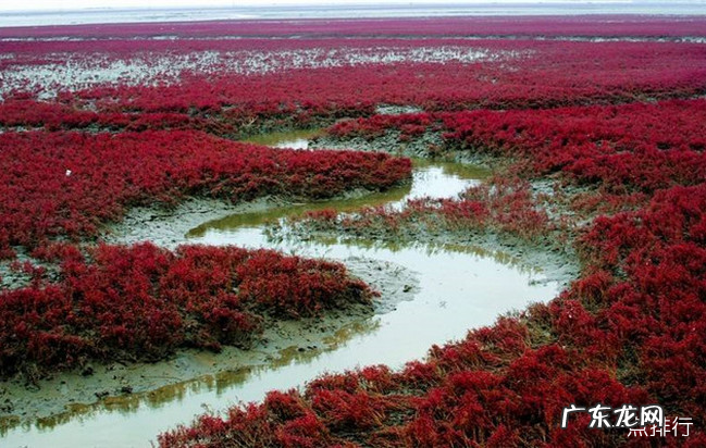 盘锦十大景点排行榜 盘锦一日游景点大全