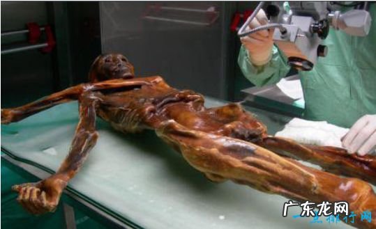 世界最古老的木乃伊 深度解密“奥茨”冰人