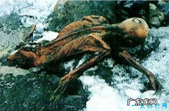 世界最古老的木乃伊 深度解密“奥茨”冰人