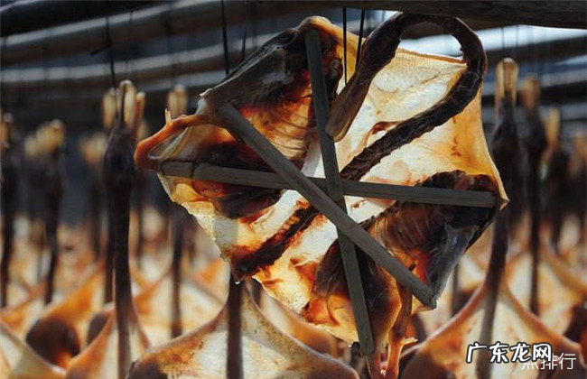 阳春十大特产 阳春特产有哪些