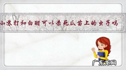 小苏打和白醋可以杀死瓜苗上的虫子吗?