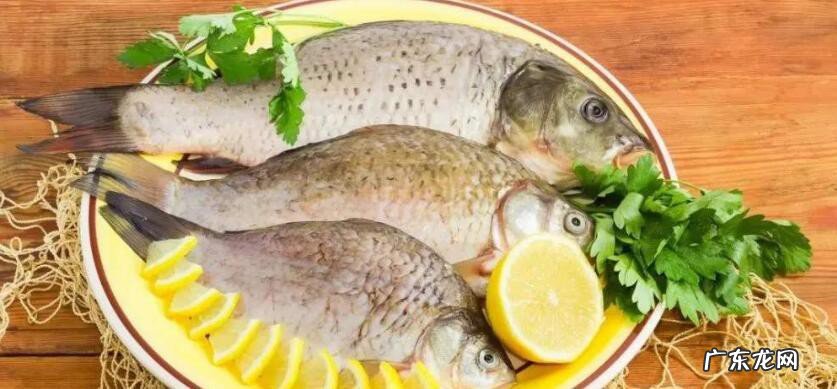 鱼放冰箱怎么去味