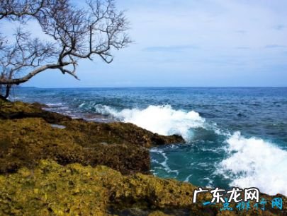 十大网费最贵的国家 网费每个月近万元人民币