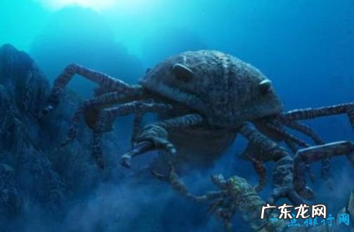 十大史前巨兽 顶级掠食动物巨齿鲨