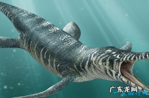 十大史前巨兽 顶级掠食动物巨齿鲨