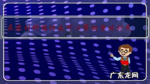 在农村种植什么可以带动整体村民?