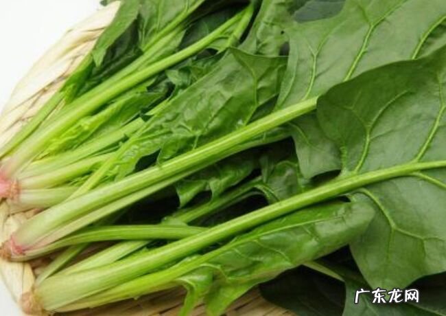 对抗疲劳的十大最佳食物 让你一整天都精神满满!