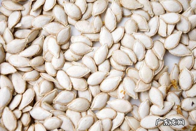 对抗疲劳的十大最佳食物 让你一整天都精神满满!