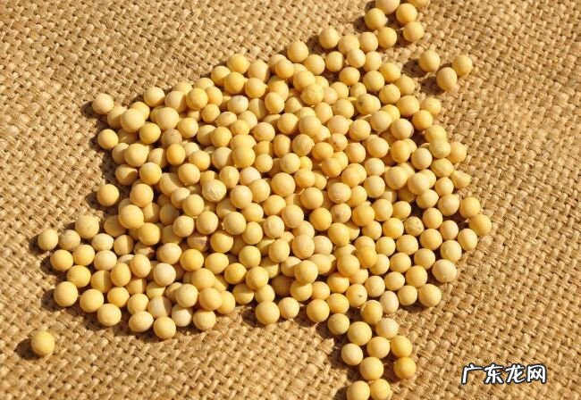 对抗疲劳的十大最佳食物 让你一整天都精神满满!