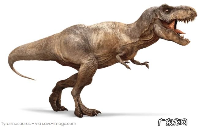 十大最危险的恐龙 巨兽龙位居榜首