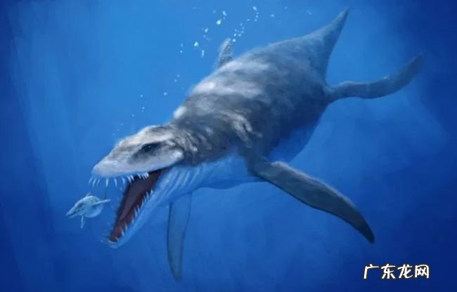 十大最危险的恐龙 巨兽龙位居榜首