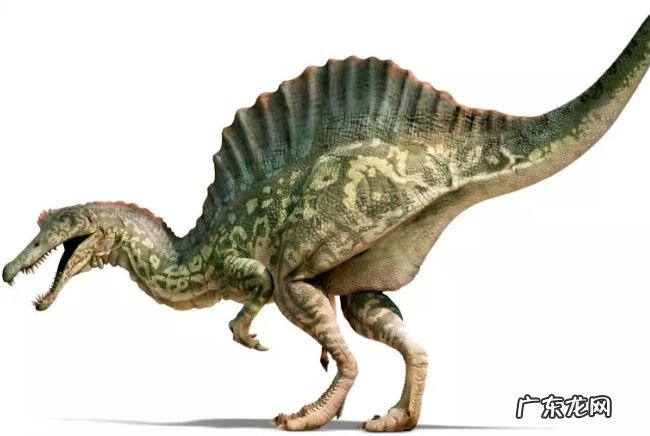 十大最危险的恐龙 巨兽龙位居榜首