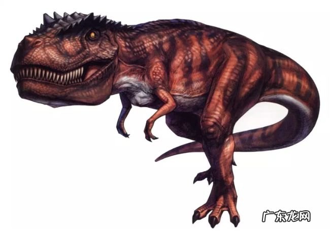 十大最危险的恐龙 巨兽龙位居榜首