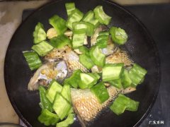 苦瓜炖鱼怎么做