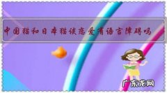 中国猫和日本猫谈恋爱有语言障碍吗？