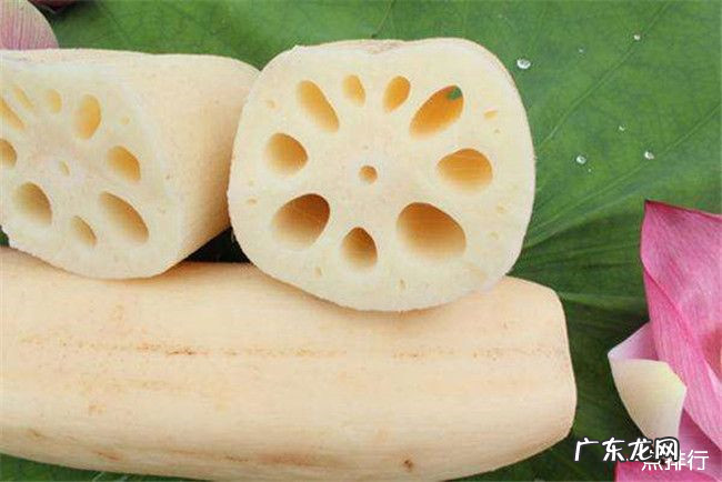 咳嗽吃什么好的快 十大润肺止咳的食物排名