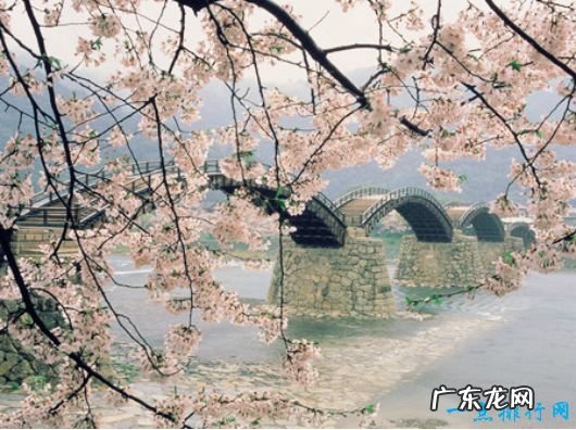 世界十大最美的桥梁 法国米洛大桥建在云端之上