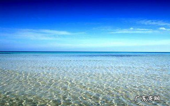 励志视频短片排行榜 第一名看一万遍都不够