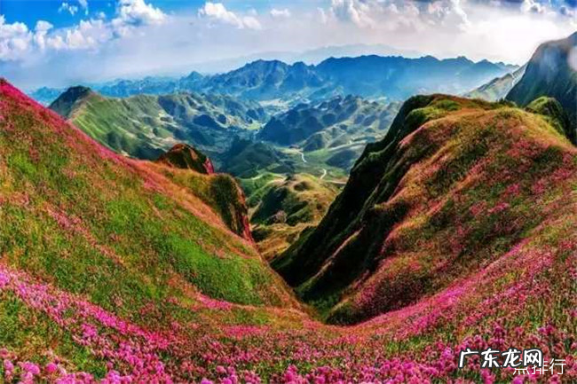 毕节十大旅游景点大全 毕节有哪些好玩的地方