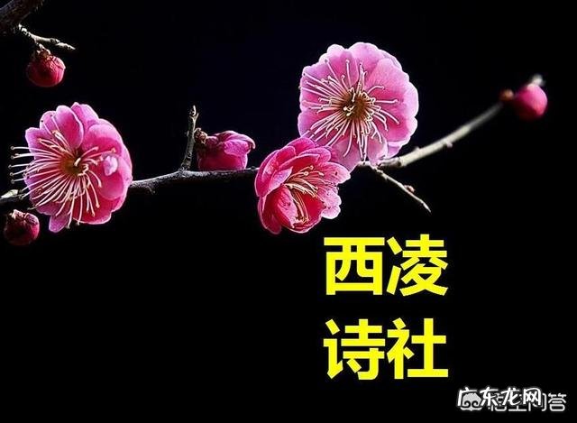 接近四十的女人,喜欢二十多的男人,是什么心态?