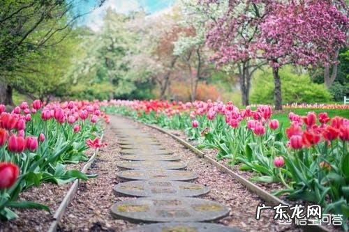 怎么样忘记一段感情?