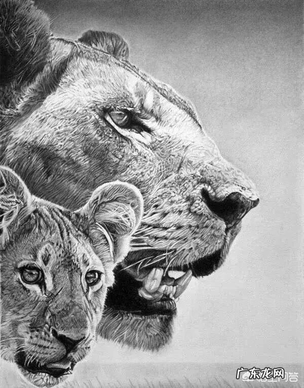 水瓶座和狮子座是否合适?