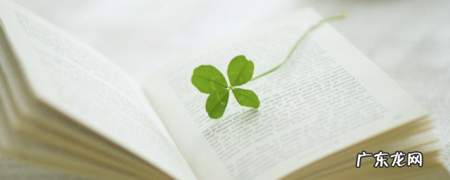 家长用一句话感谢老师