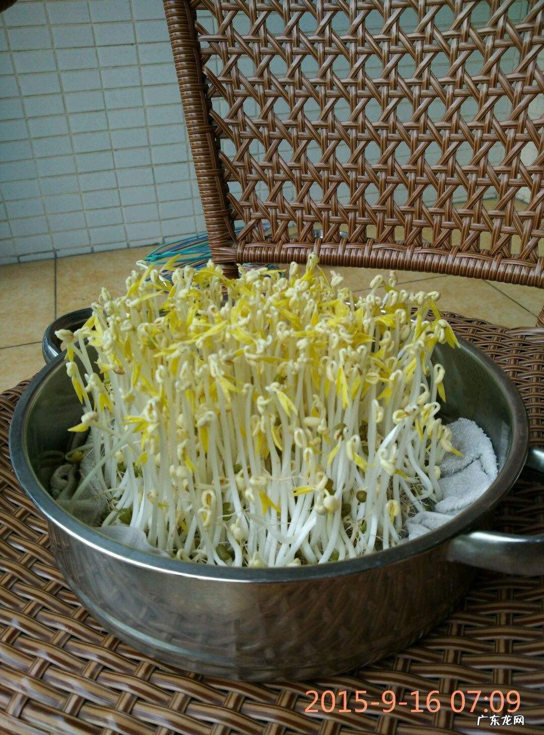 在家自己生绿豆芽怎么生