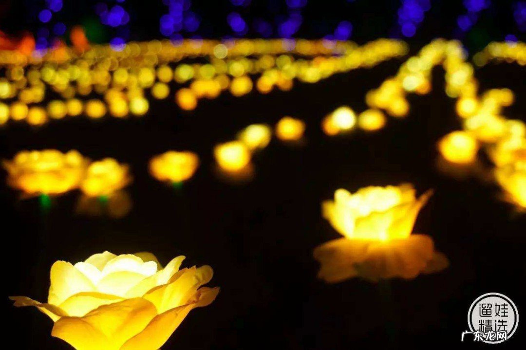 灯光的主要内容