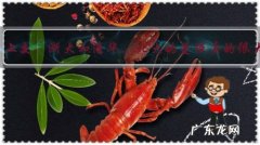 复旦、上交、浙大和清华、北大的差距真的很大吗？