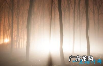 世界十大灵异事件 世界未解之谜诡异事件