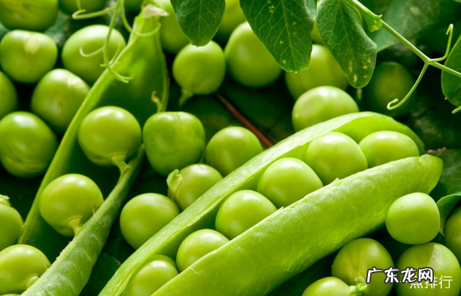 美白的食物有哪些 十大美白食物排行榜