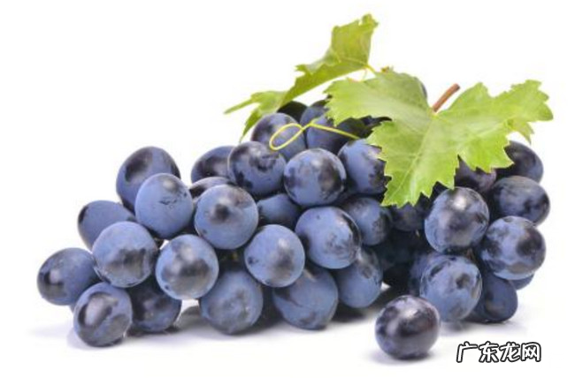 美白的食物有哪些 十大美白食物排行榜