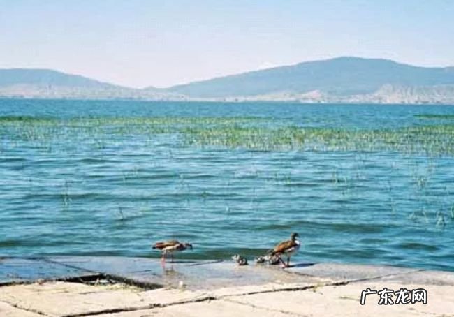 世界上水域面积最大的十个国家 中国仅排第五