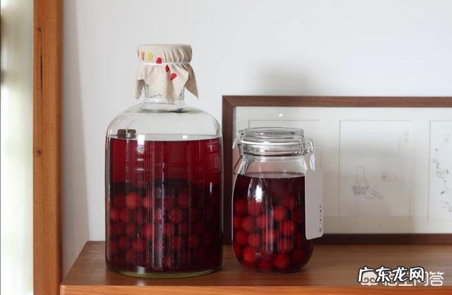 杨梅加酵母粉能发酵成酒吗?