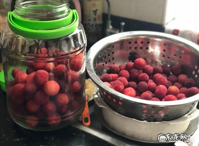 杨梅加酵母粉能发酵成酒吗?