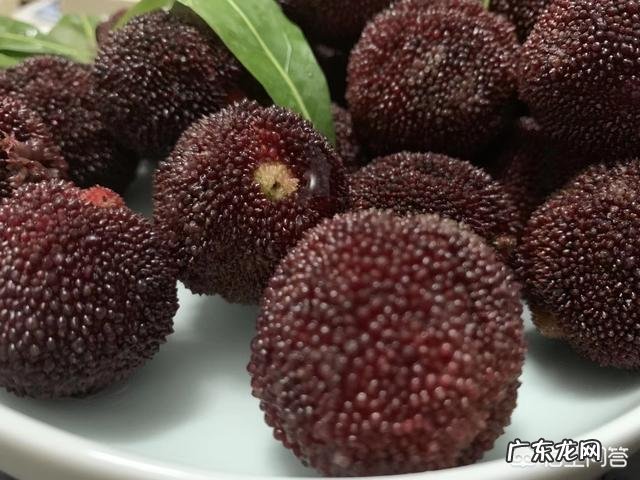 杨梅加酵母粉能发酵成酒吗?