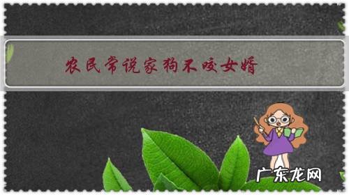 农民常说家狗不咬女婿,未曾谋面的狗狗真的会不咬新女婿吗?