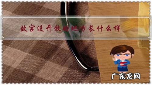 故宫哪里不开放 故宫没开放的地方长什么样?