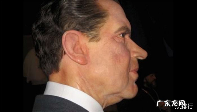 十种不同类型的鼻子 哪一种鼻子最好看