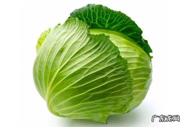 10大雌性激素多的食物 女性吃什么补雌激素