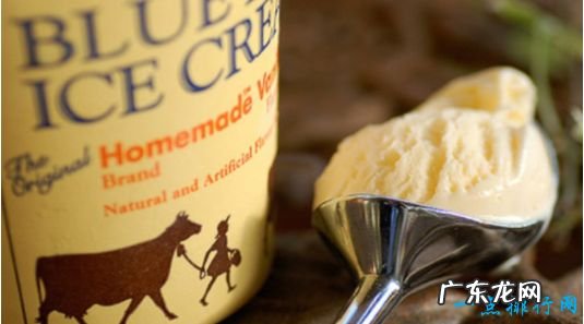 十大冰淇淋品牌排行这几家的冰激凌好吃到飞起来