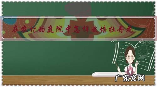 在农村的庭院中怎样栽培牡丹花?需要注意哪些问题?