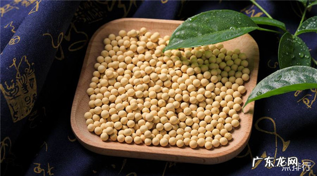 对眼睛好的食物有哪些 保护眼睛的十大食物