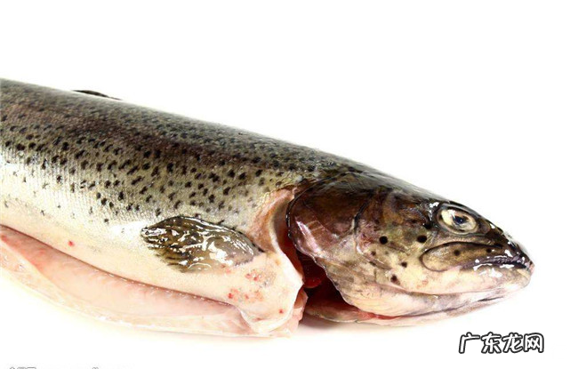 对眼睛好的食物有哪些 保护眼睛的十大食物