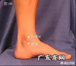 失眠、腰痛,按哪个穴位可以好