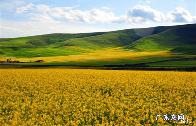 世界十大绝美花海 每一处都是人间仙境